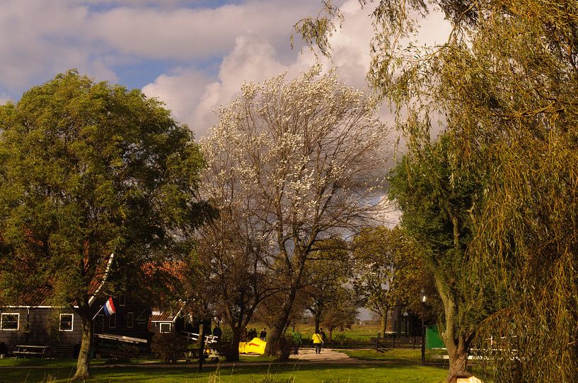 storm  von Robert Lotman