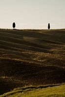 Toskanische Symmetrie