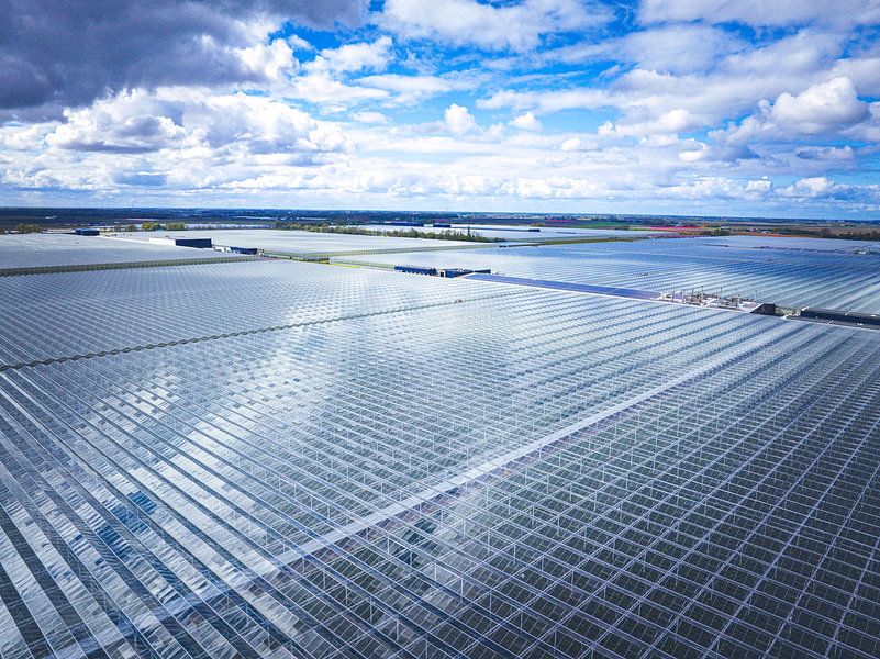 Greenhouse for growing vegetables and flowers aerial view by Sjoerd van der Wal Photography