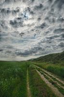 BoschplaatTerschelling