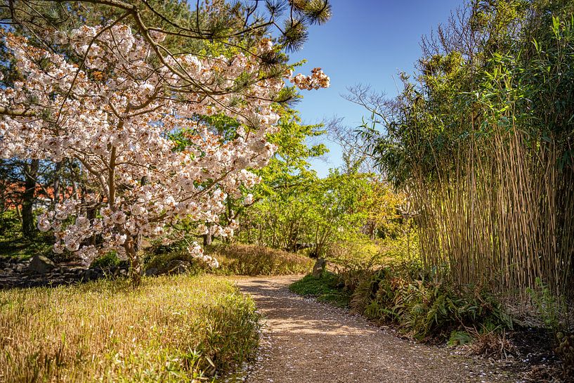 Enjoy life&#039;s moments! by TCPhoto.nl