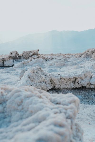 Mysteriöse Salinen von Romana Krijger