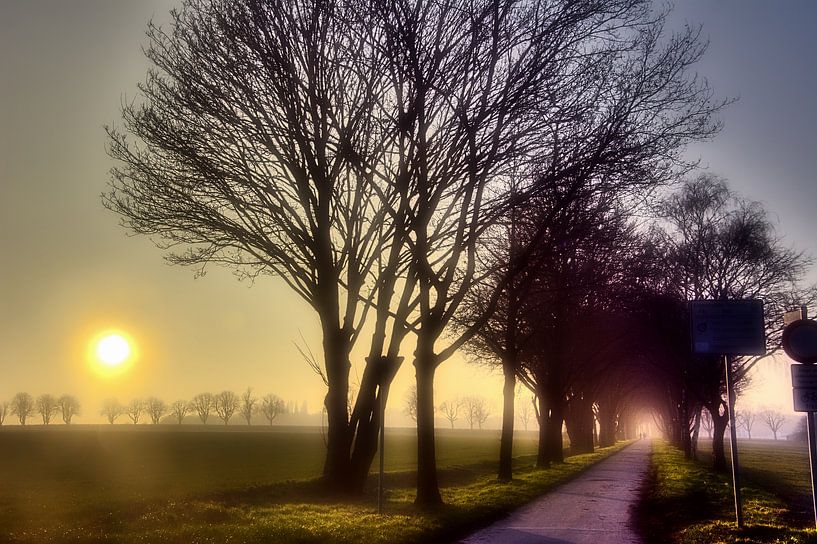 Weg ins Licht von Edgar Schermaul
