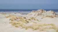 Terschelling