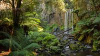 Hopetoun Falls, Victoria Australia