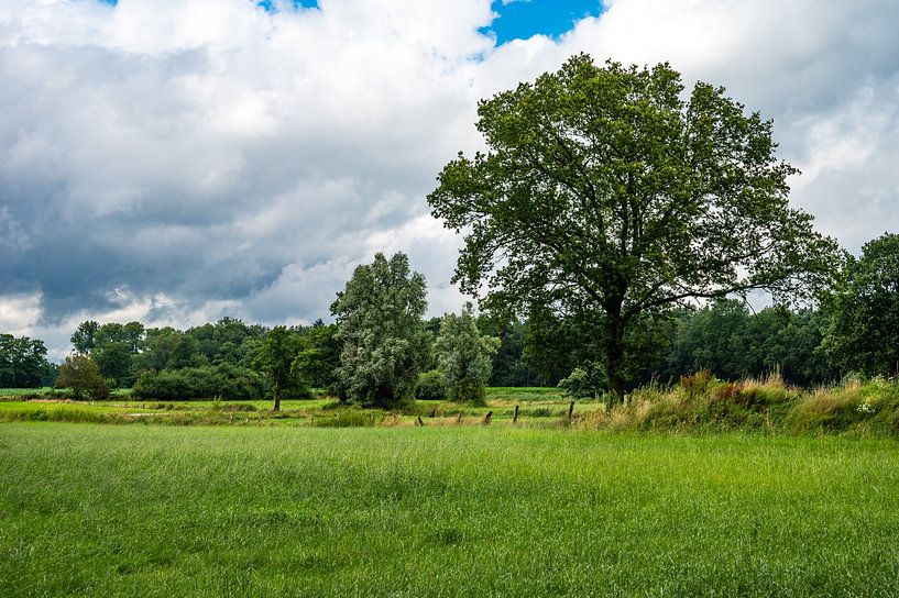 Idyllische Landschaft in Neuenhause, Deutschland von Werner Lerooy