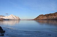 Bergen met contrast in fjord aan de Noorse zee.