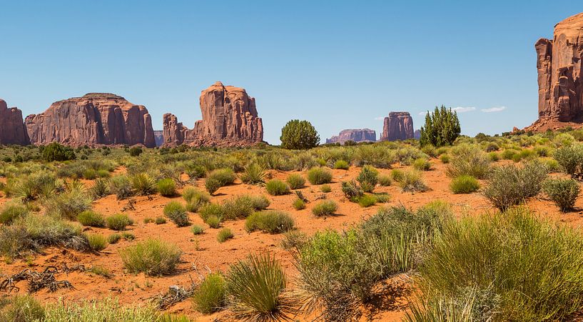 Wild West by Peter Leenen