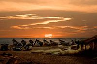 Visser aan de Atlantische Oceaan