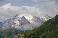 Landschap - "Fresh Snow in July"