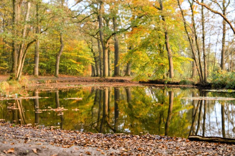 Keijenberg part 3 van Tania Perneel