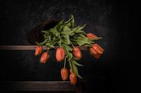 Oranje gevallen tulpen