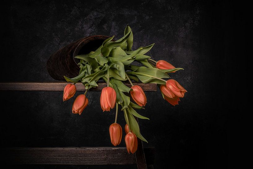 orange gefallene Tulpen von Peter Abbes