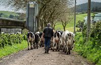 La main commémorative : la paix sur la terre