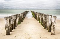 Beach poles in Zeeland