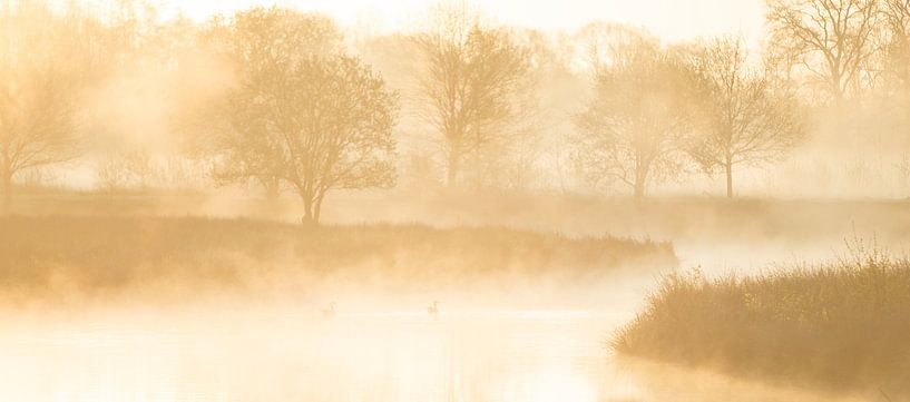 Goldener Sonnenaufgang am Wasser von Marije Baan