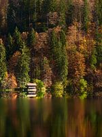 Herbst am Freibergsee
