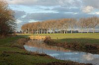 Landschaft mit mäanderndem Wasser und Spiegelungen - Polderlandschaft