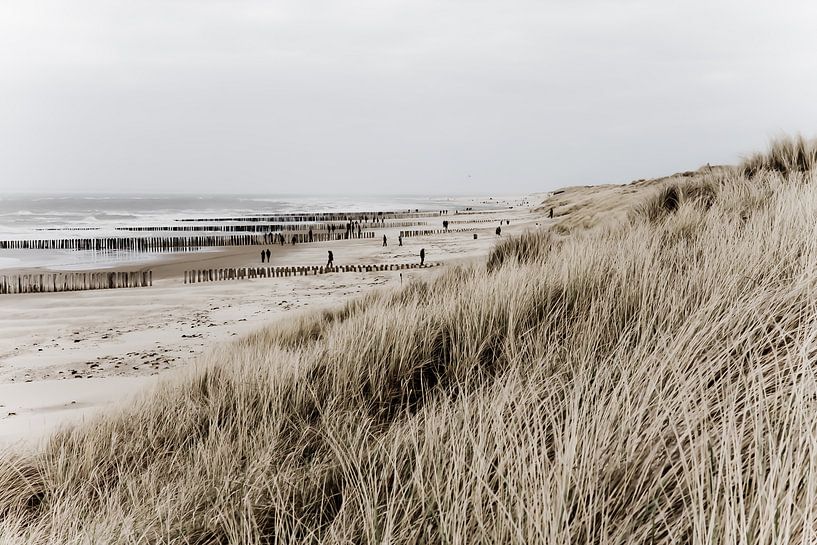 Sea, beach and dunes par Wilco Schippers