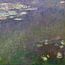 Waterlelies, Claude Monet