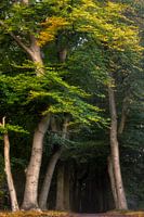 Vue automnale de Bilt.