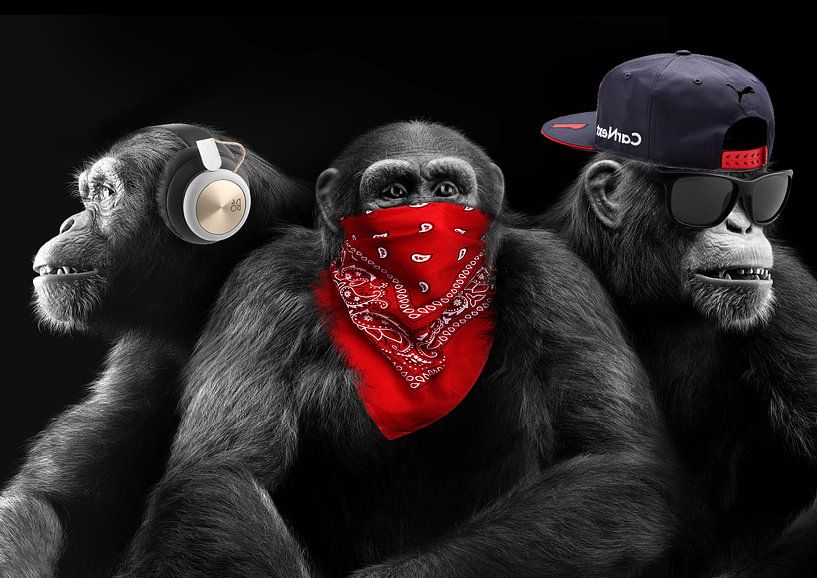 Three wise monkeys van Bert Hooijer