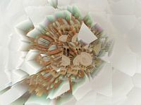 Nicht Von Dieser Welt