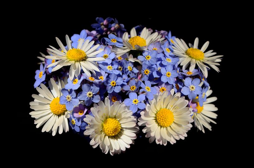 Bouquet with daisies and Forget-me-nots by Corinne Welp