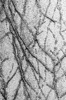 Linien in Schwarz und Weiß