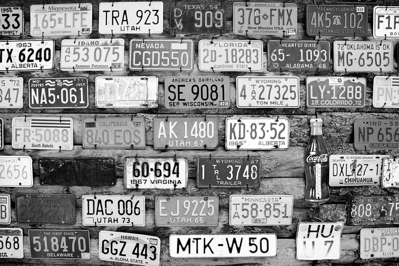 License plates by Susan Lambeck