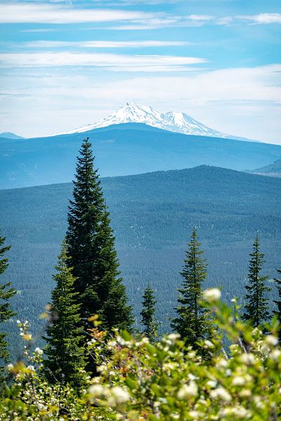 Mt Hood par Tashina van Zwam