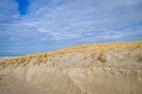 Les dunes de Texel