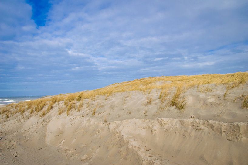 Les dunes de Texel par Brigitte Blaauw