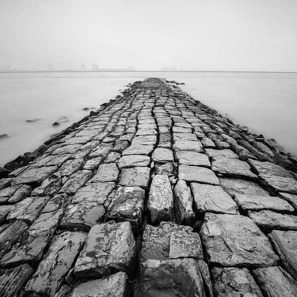 Pier by Danny Taheij