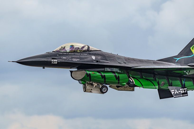 F-16 Demo Team Force aérienne belge : Le Viper de rêve. par Jaap van den Berg