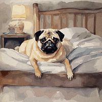 Pug Paws & Pillows