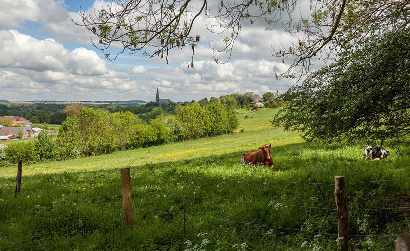 Blick auf Vijlen in Süd-Limburg im Frühling von John Kreukniet
