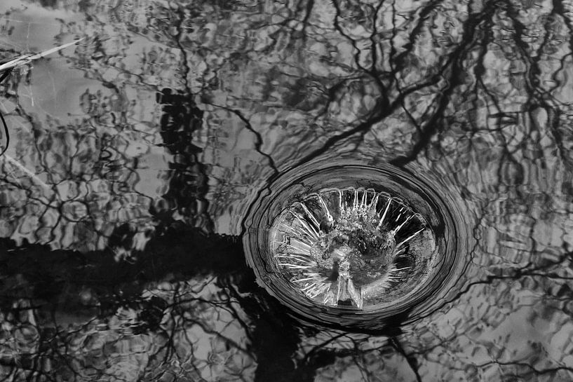 natürliches Wasserspiel von Frank Briske