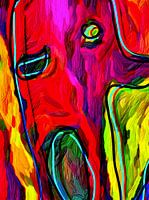 De Ultieme Verbazing