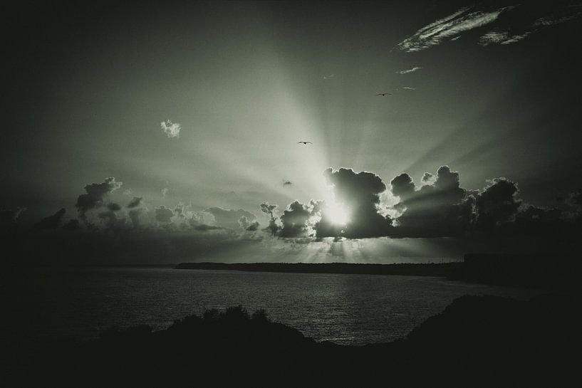 Sunlight by Jacqueline Lemmens