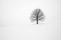 Timing is everything