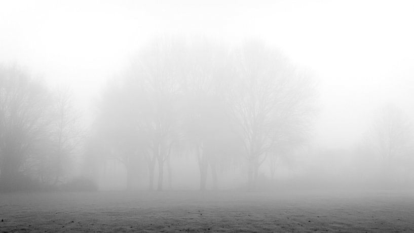 Brouillard épais par Jan van der Knaap