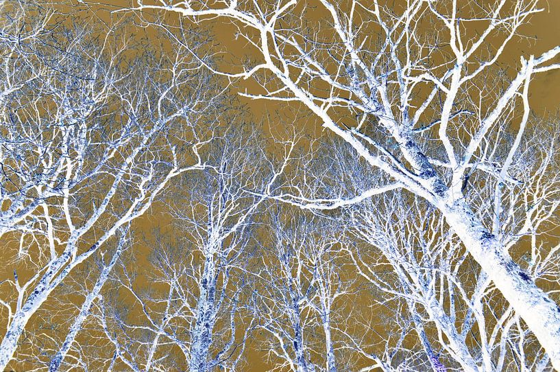 Arbres Fantaisie par Corinne Welp