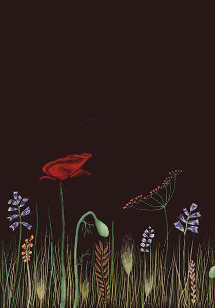 Wild flowers by Lieve Aerts