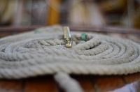 Seil um Kupferfrosch