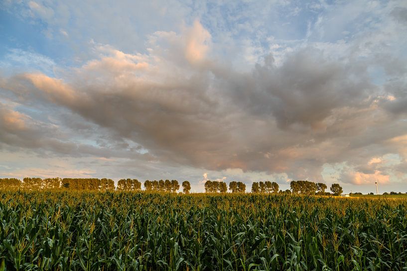 avond wolk par Rolf Pötsch