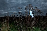 Corona covid19 Streu in der Natur