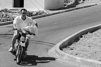 Rush delivery bedding.