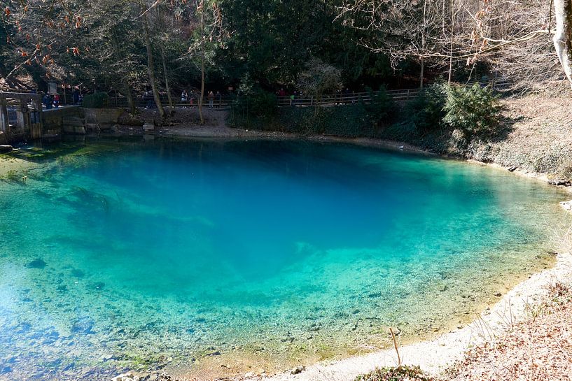 Gros plan sur le lac Blautopf à Blaubeuren en Allemagne par creativcontent