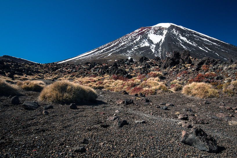 Mount Ngauruhoe, Tongariro, New Zealand by Martijn Smeets
